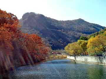 正版澳门天天开彩大全，山东秸秆煤